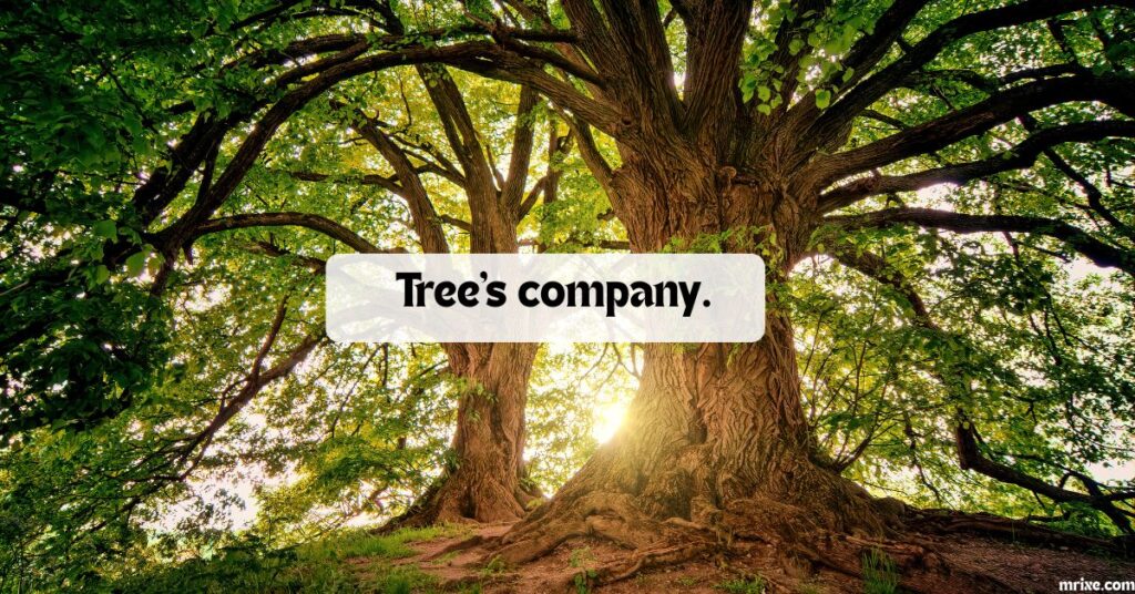 Best Overall Tree Puns
