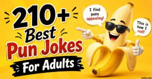 Best Pun Jokes For Adults one liner