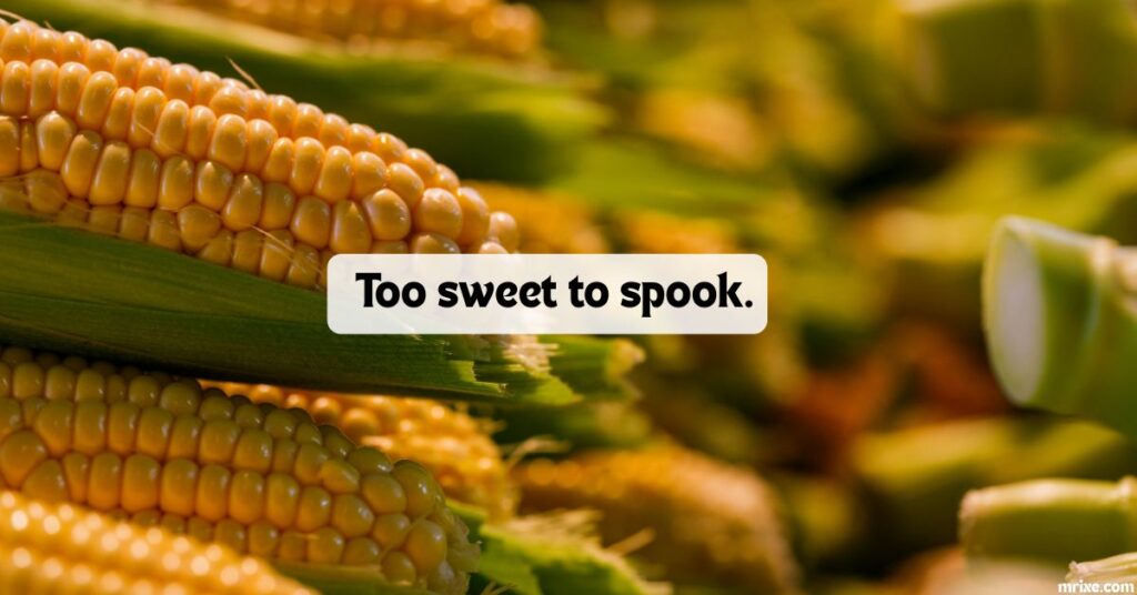 Candy Corn Captions