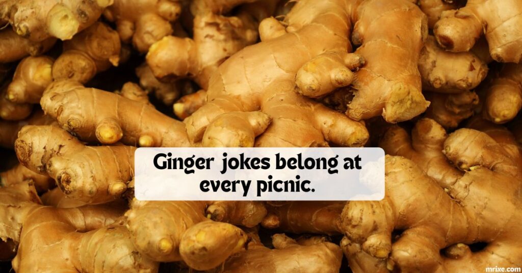 Clean Jokes the Whole Family Can Enjoy