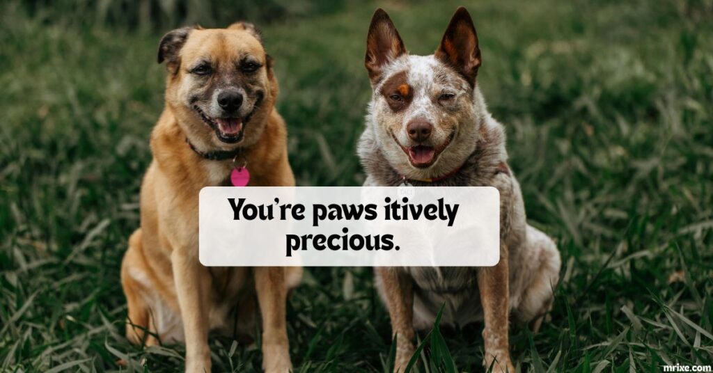 Cute Dog Puns