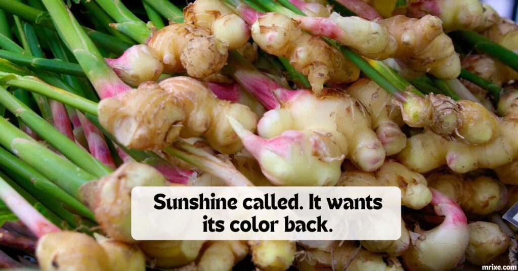 Fiery One Liners That Never Get Old