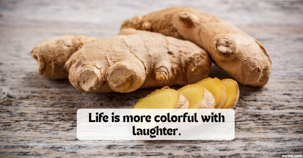 More Funny Ginger Moments to End on a High Note