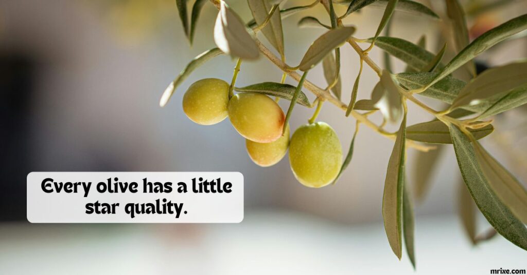 Olive Jokes You'll Never Forget