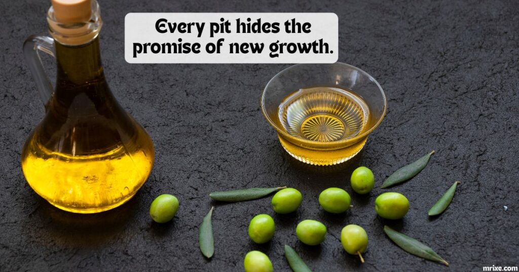 Olive Quotes Full of Flavor and Wisdom