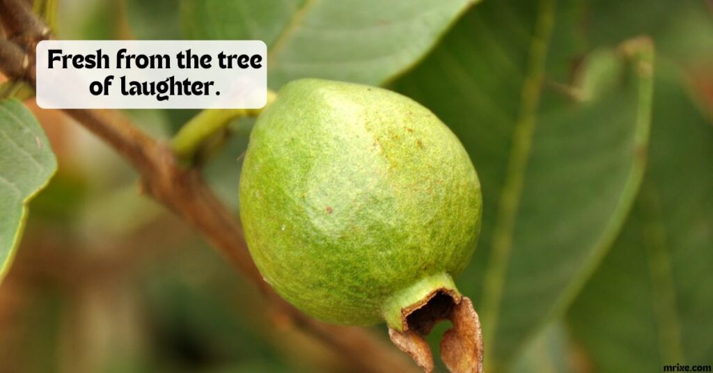 Orchard-Fresh Guava Humor