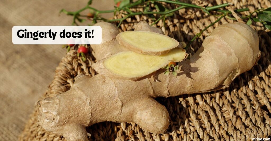 Pun-Filled Ginger Comedy