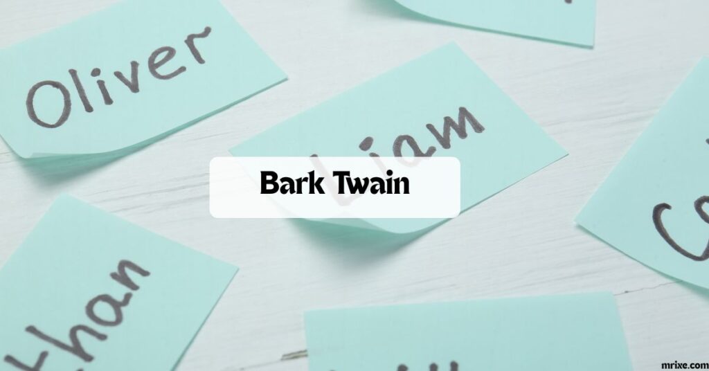 Pun Names for Pets and Furry Friends
