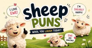 Sheep Puns