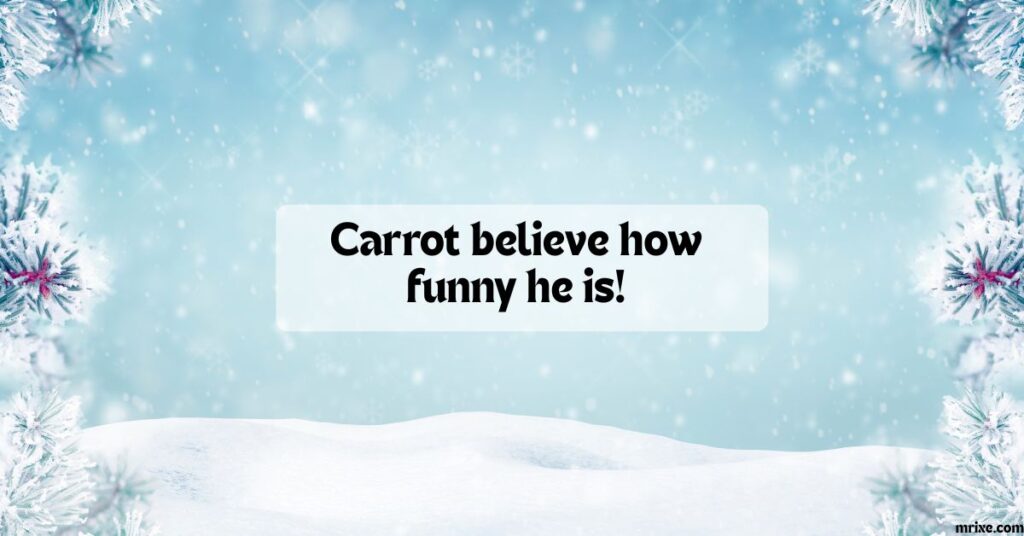 Snowman Shenanigans Puns