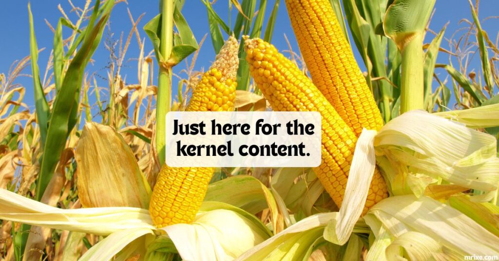 Social Media Worthy Corn Puns
