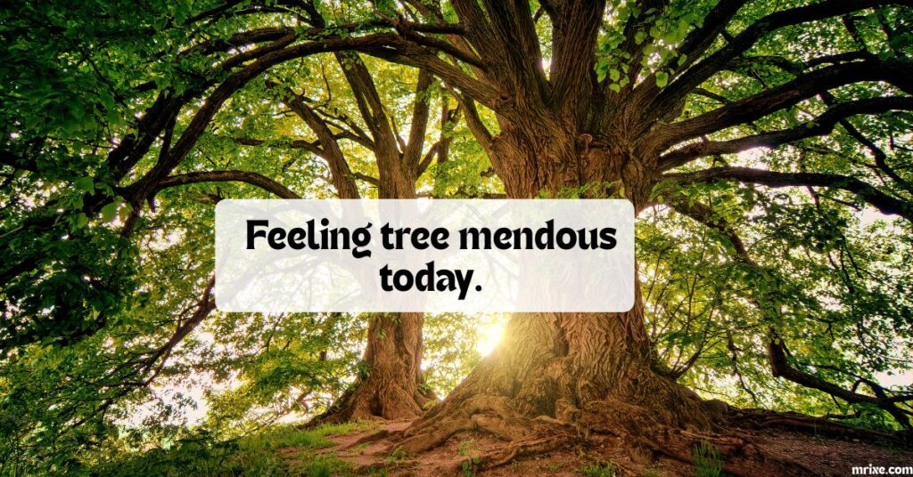 Tree Puns for Captions and Social Posts