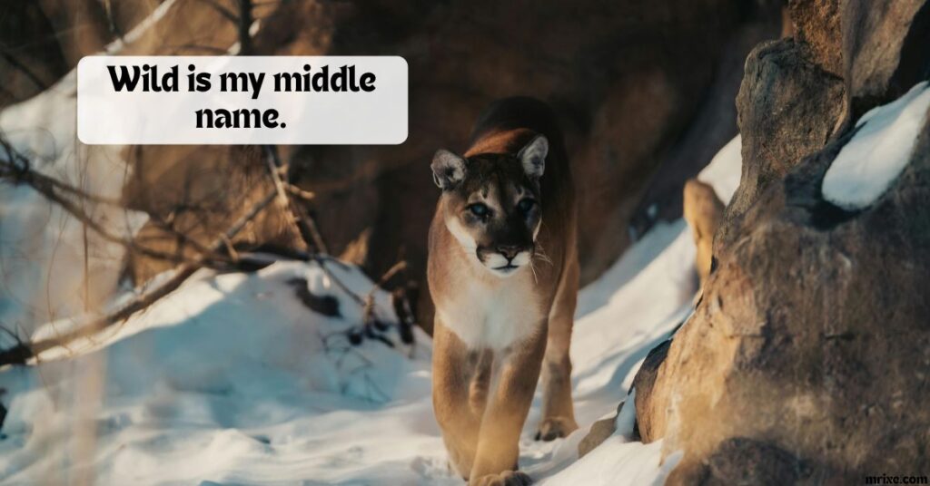 Wild is my middle name